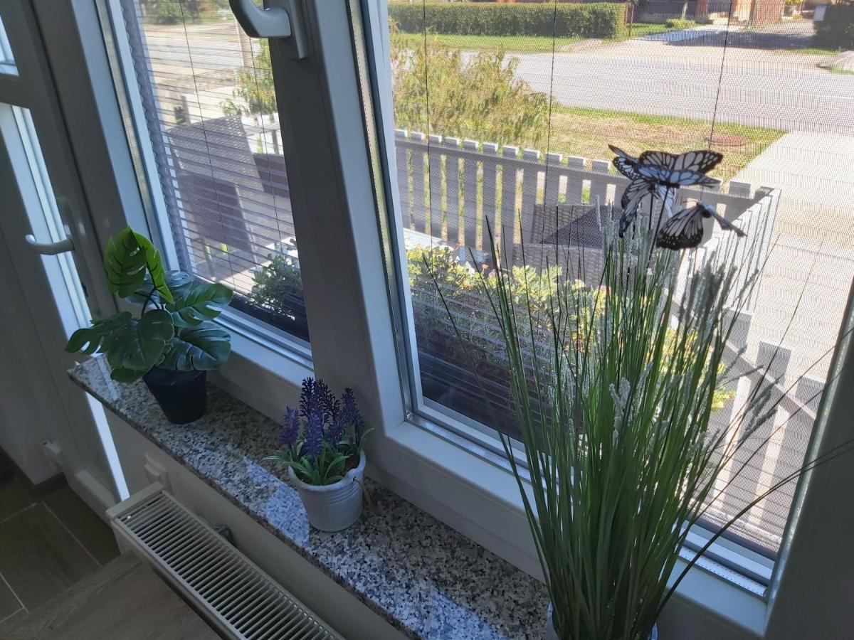Studio Apartman Draga Velika Ludina Kültér fotó